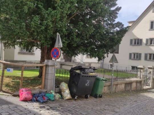 Wilde Müllstation vor Franz-Michael-Felder Archiv