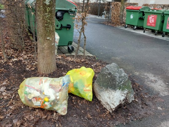 Müllprobleme Strabonstraße